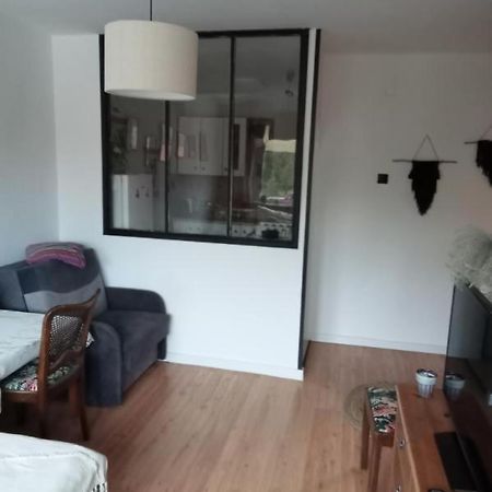 Apartament Dobre Miejsce Malbork Eksteriør billede